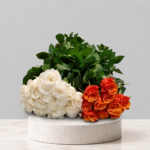 Rosas sueltas